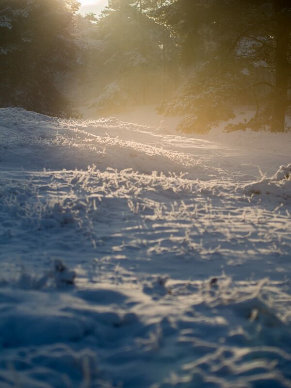 Flare