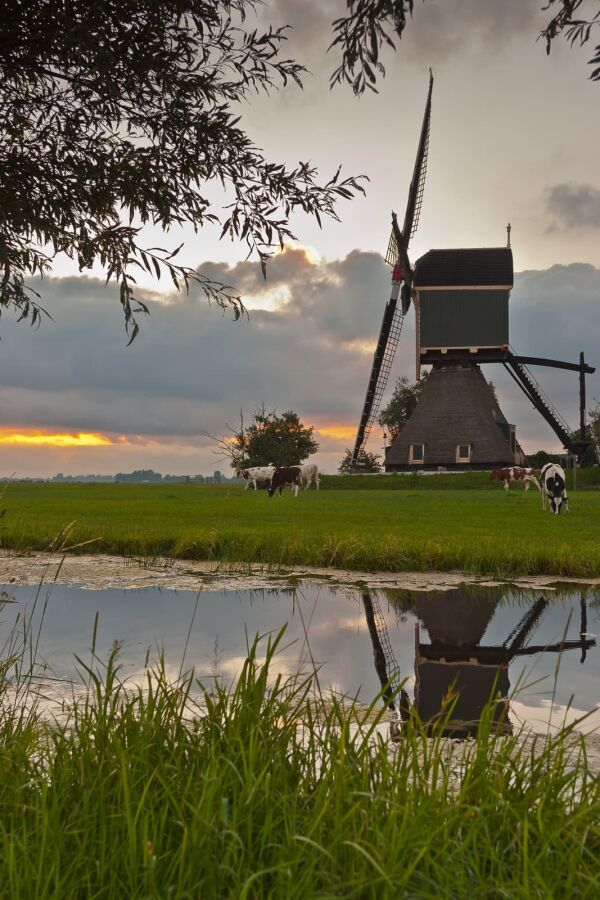 Molen