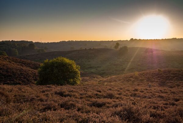 Posbank zonnetje