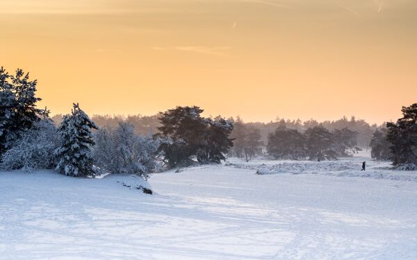 Zonsondergang Soesterduinen in de sneeuw